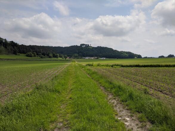 Der Feldweg östlich von Prienbach