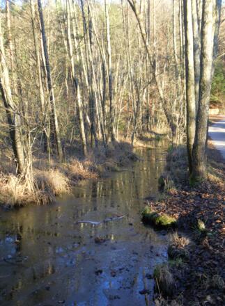 Moorbach