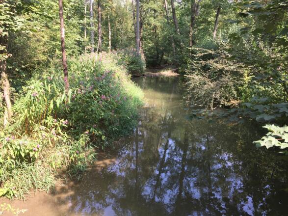 Schwabinger Bach