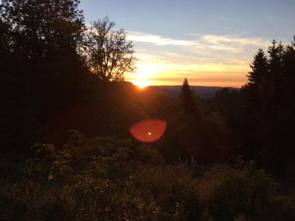 Sonnenuntergang an der Alpe Hohenschwand