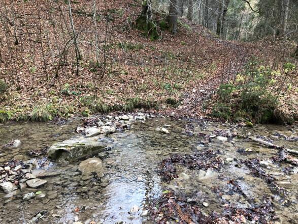 Übergang über den Gschwandgraben (Rückblick)