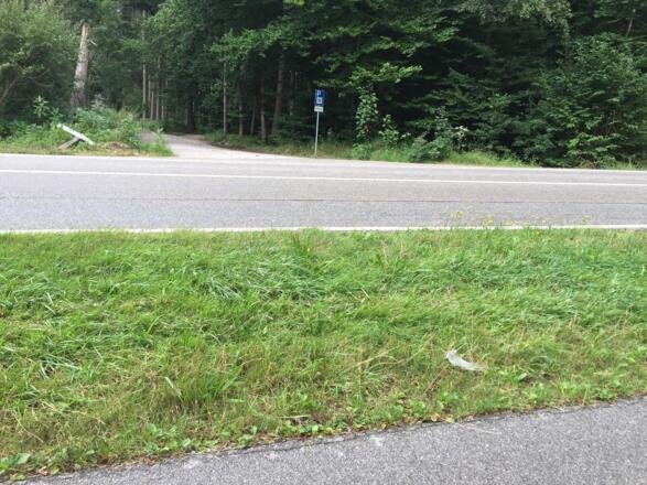Vom Ebersberger Fort über die Staatsstraße zum Radweg nach Ebersberg