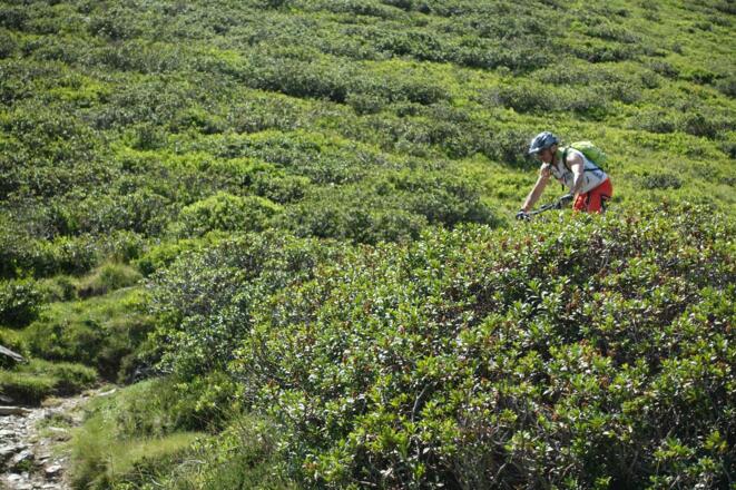 Abfahrt vom Sattelberg