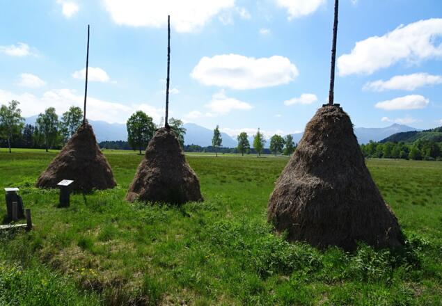 Heuhocken bei Sindelsdorf