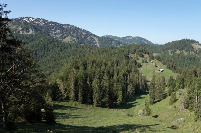 Ausblick vom Hohen Gernberg zu Platteneck und Geißalm
