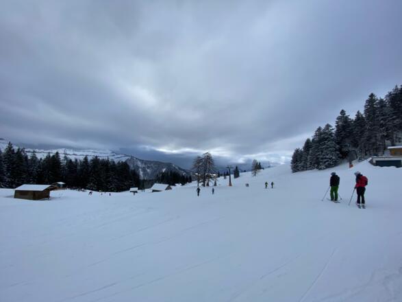 Abfahrt vorbei an der Spielbergalm Richtung Karalm (rechts halten nach der Liftstütze in der Bildmitte)