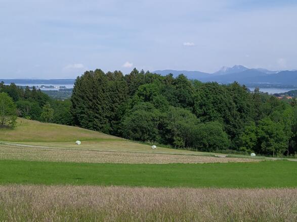 Chiemsee