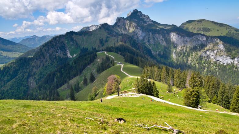 Abstieg unterhalb der Hochplatte über freies Almgelände zur Piesenhauser Hochalm mit Kampenwand
