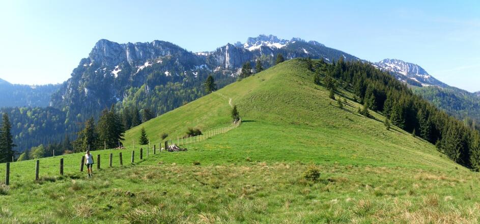 Erlbergkopf vom Schwarzenberg