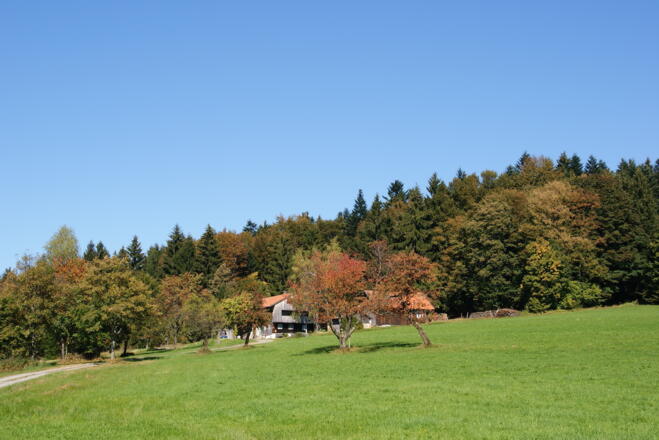 Blick zum Weiler Ahorn vom Weg nach Hüglhof