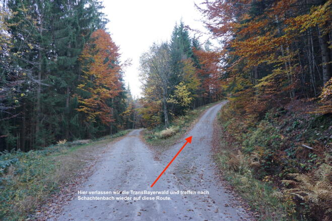 Abzweigung nach Schachtenbach