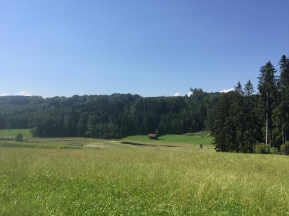 Ausblick bei Langkofen