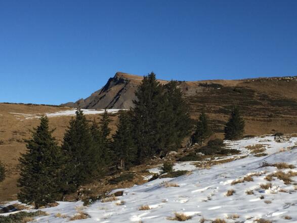 im Hintergrund der Hohe Freschen