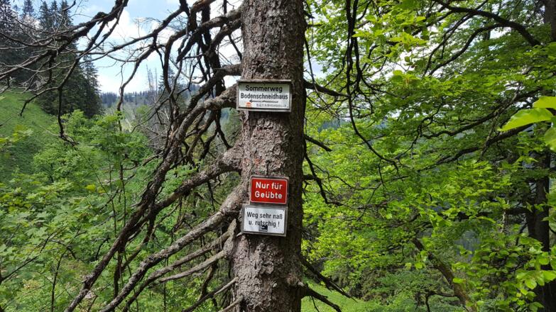 Die Hinweise für den Weg ab der Westseite Krettenburg zum Bodenschneidhaus