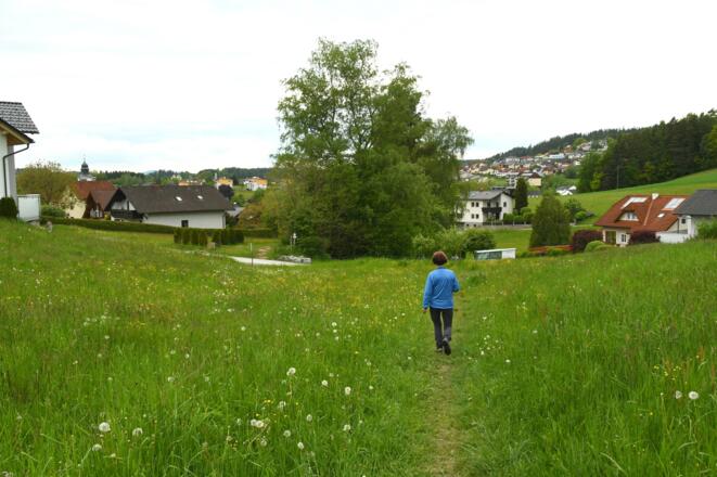 Gutau in Sichtweite
