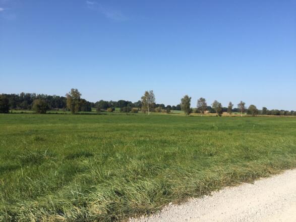 Bei Arnbach entlang der S-Bahn