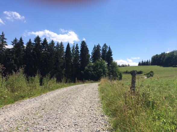 Tolle Wege und Ausblicke