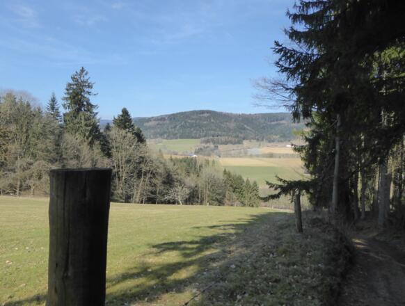 Abstieg vom Buchenberg