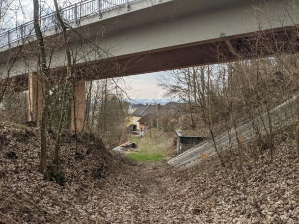 Wieder zurück bei der Brücke