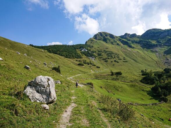 Hier gibt es zahlreiche Murmeltiere (hinten die Rotwand)