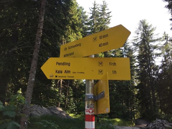 Forstweg Pendling links