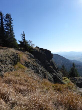 Steinbühler Gesenke