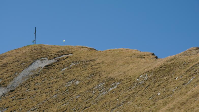 Grasrücken der sich zum Gipfel zieht.