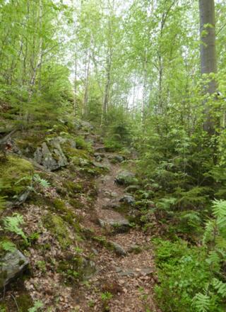 Wilde Pfade am Grat des Klammerfels
