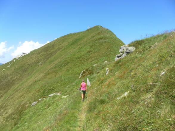 Zwölferkogel