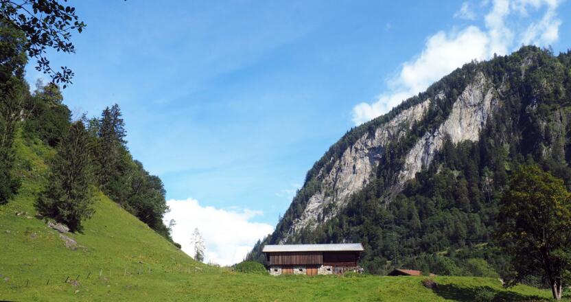 Vor'm Bürgkogelanstieg ~855m