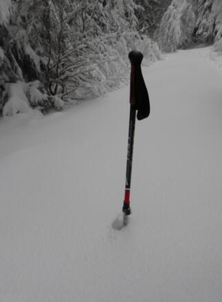 Stecken im Schnee