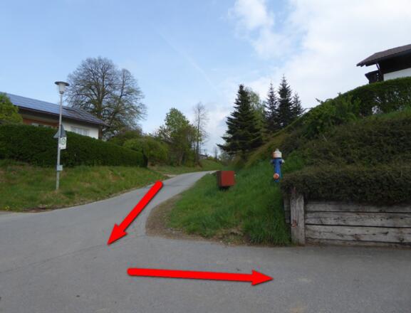 hier müssen wir in Sackenried abbiegen