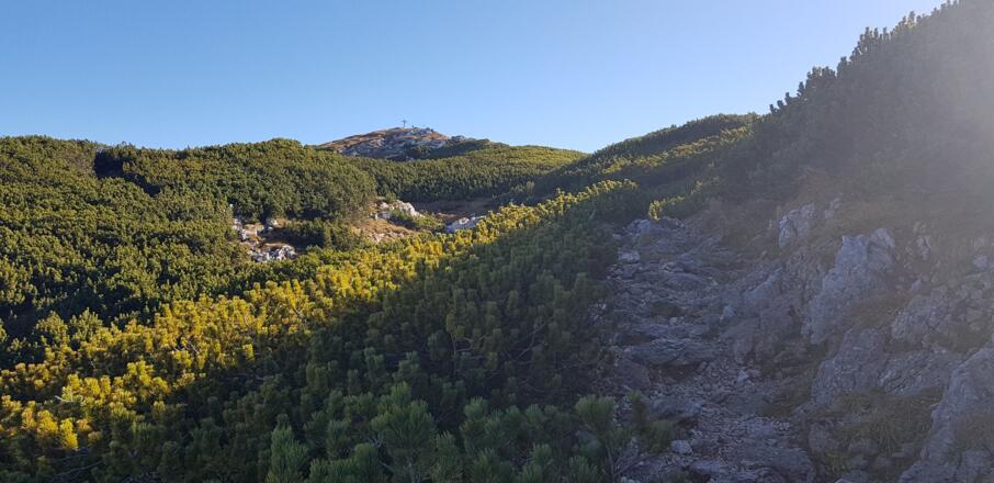 Auf gutem Weg zum nahen Gipfel