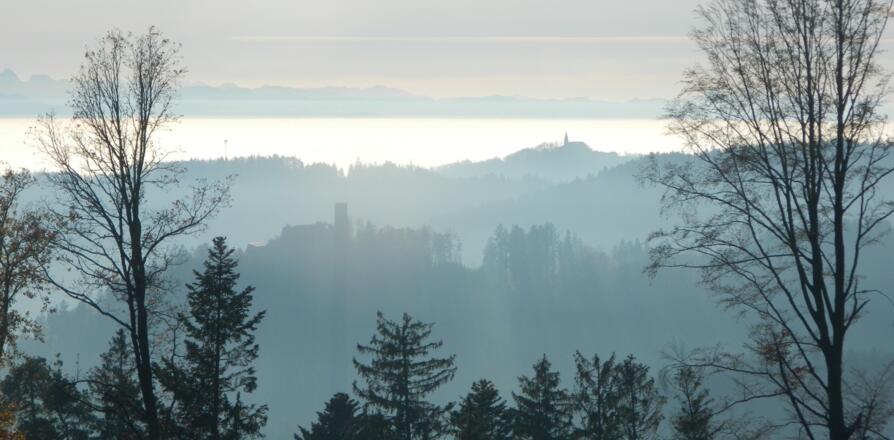 Gegenlicht: Blick nach Klingenberg und St. Thomas