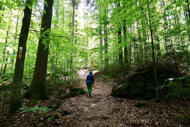 Weg zum Hochbergsattel