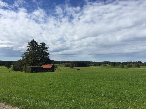 Gut Kerschlach Richtung Machtlfing