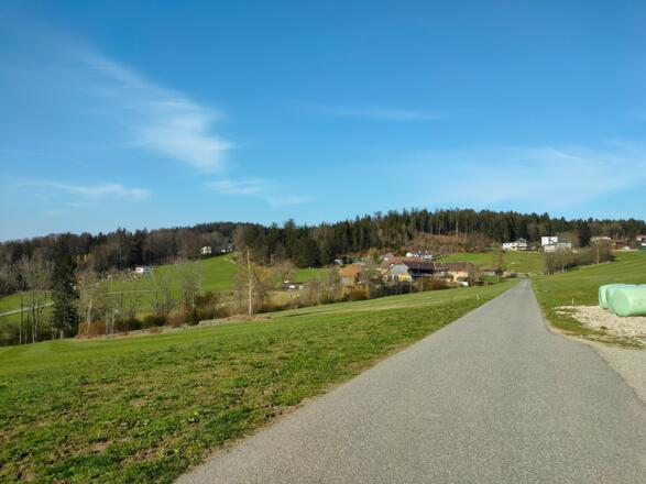 Der Straße folgend zum Lamahof