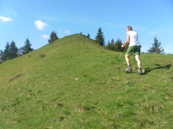 Nordrücken des Erlbergkopfs