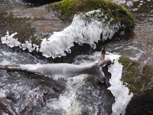 Höllbachtal - Naturschutzgebiet