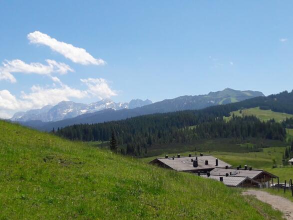 Blick vom Weg zur Traunsteiner Hütte