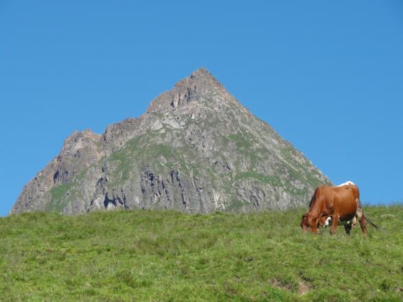 Blick zum Gr. Rettenstein