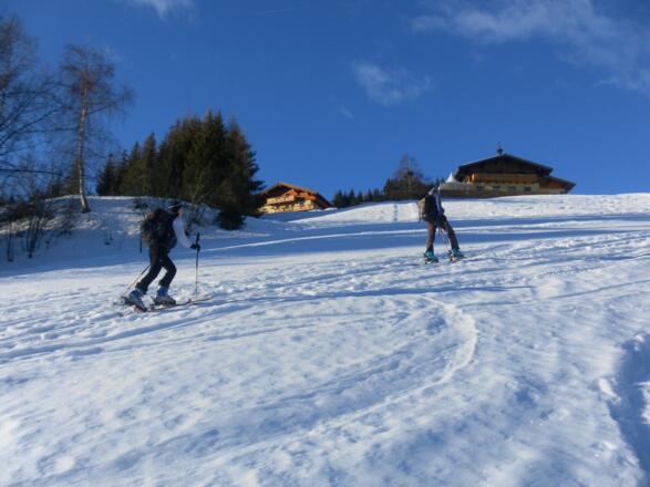 unter der Krapfenalm