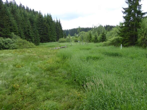 Grenzübergang bei Bischofsreut