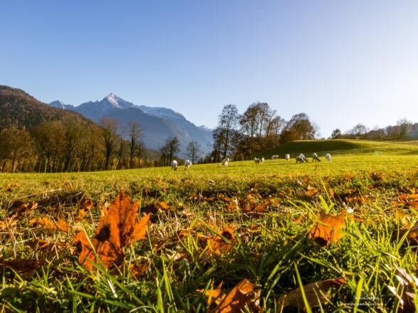 Wir bewegen uns in einer herrlichen Landschaft.