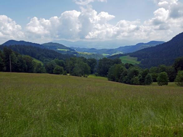 Blick ins Salzburger Land