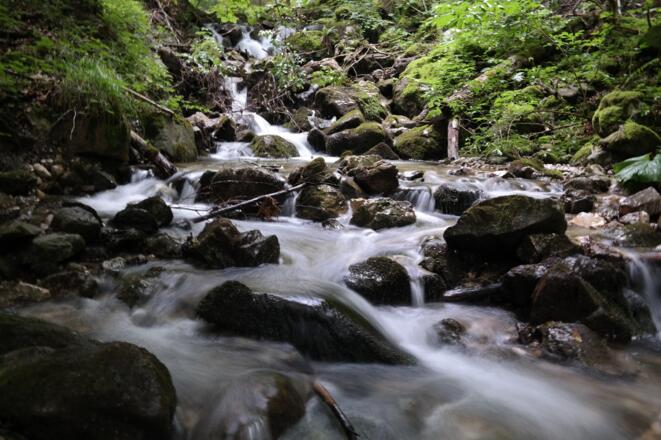 Etwas abseits der Route rauscht die Laudach talwärts.