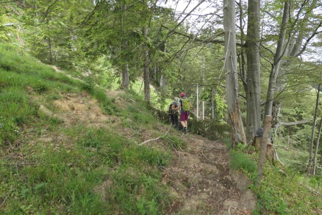 Zaun 1110m, mit Hirtenpfad