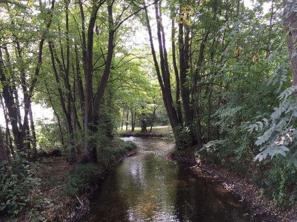 Schwebelbach