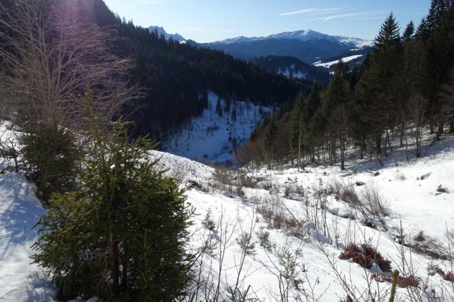 Da hinunter