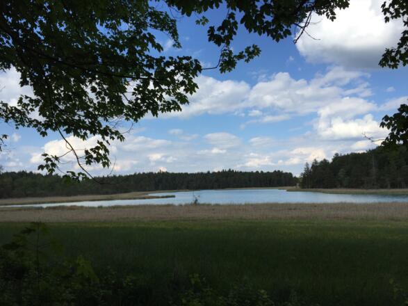 Westlicher Breitenauer See (Osterseen)